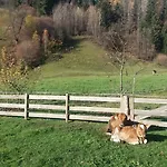 Boeglerhof *