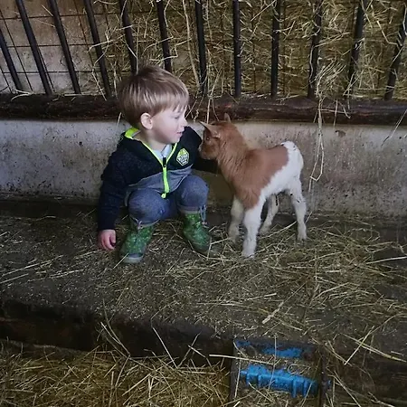 بوغليرهوف شقة