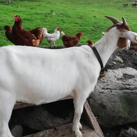 بوغليرهوف * أوديرنز