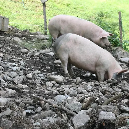 Boeglerhof * Uderns