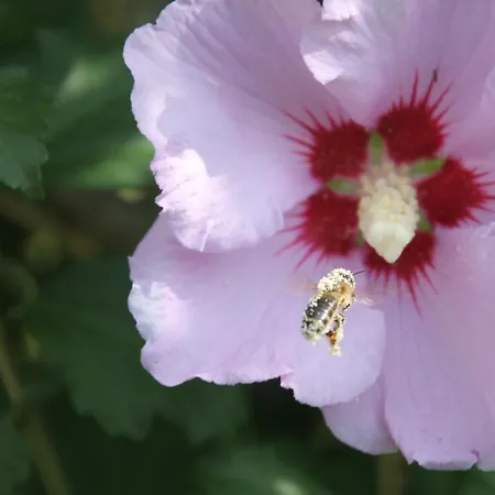 شقة بوغليرهوف أوديرنز