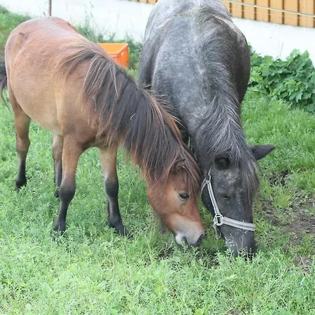 شقة بوغليرهوف