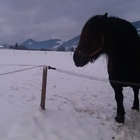 بوغليرهوف *