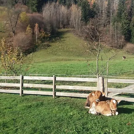 بوغليرهوف *