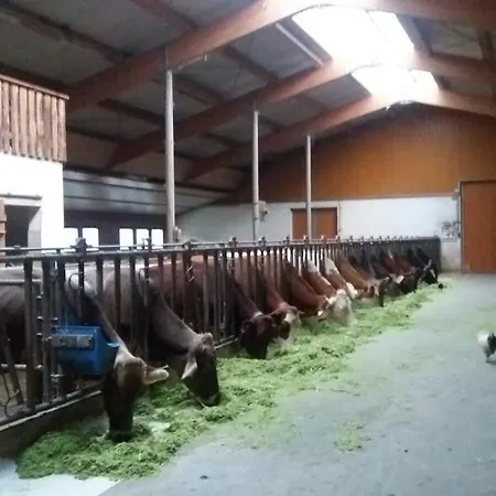 شقة بوغليرهوف أوديرنز