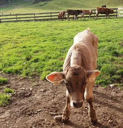 بوغليرهوف شقة أوديرنز