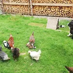 Апартаменты Boeglerhof *