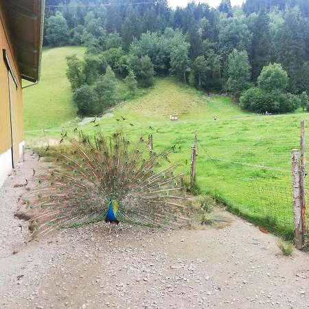 Boeglerhof *