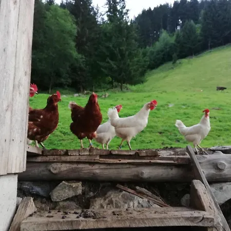 Böglerhof * Uderns