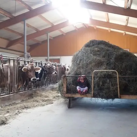 Böglerhof Lägenhet