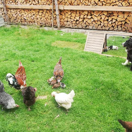 Apartamento Boeglerhof *