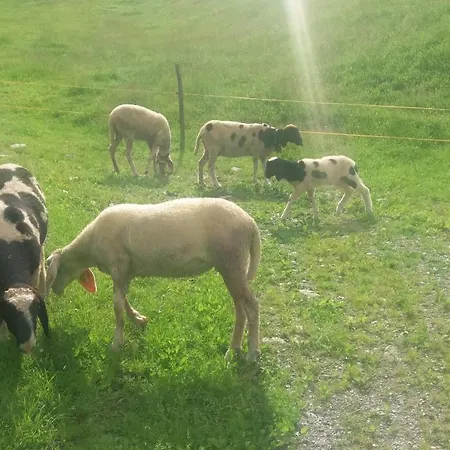 Boeglerhof Apartamento