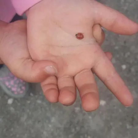 Boeglerhof Apartamento *