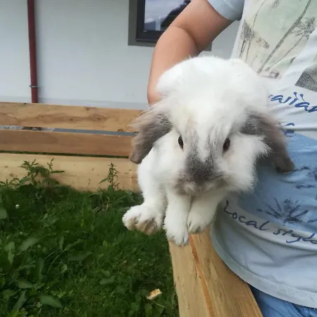 Apartamento Boeglerhof