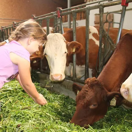 Apartamento Boeglerhof *