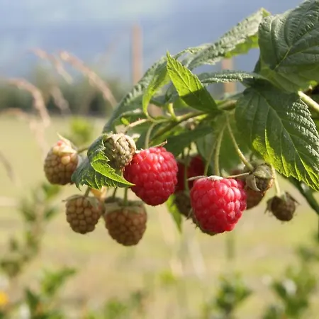 Boeglerhof Apartamento *