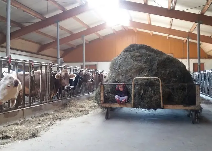 Böglerhof Lejlighed