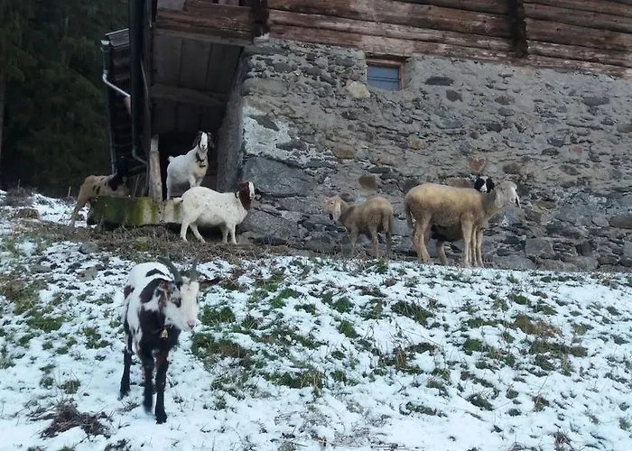 Lejlighed Böglerhof *