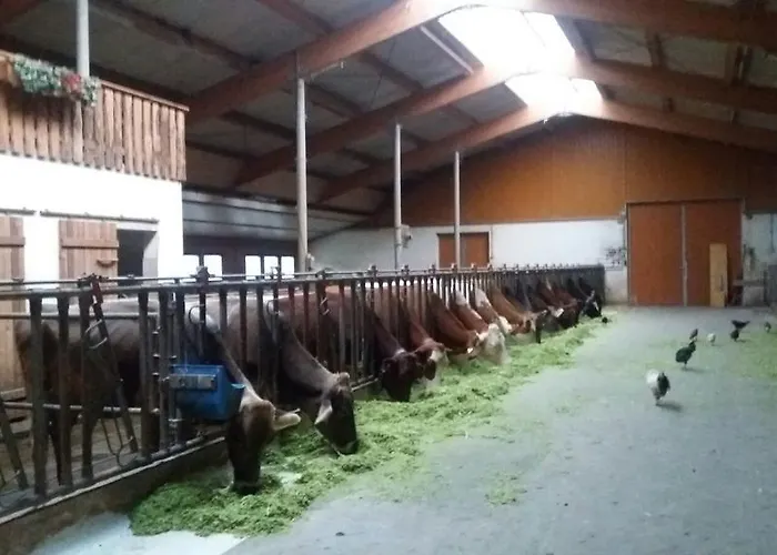 Lejlighed Böglerhof Uderns