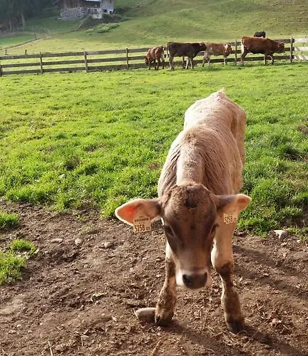 Böglerhof Lejlighed Uderns