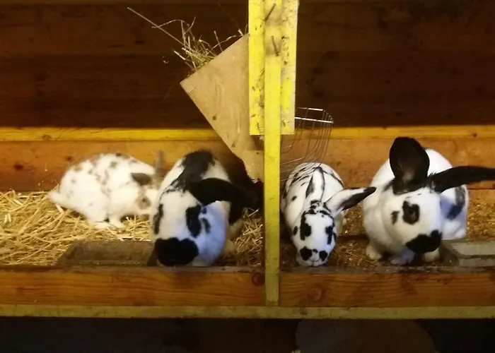 Lejlighed Böglerhof *